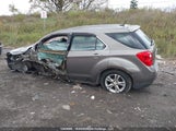Chevrolet Equinox Ls 2CNALBEW6A6358390 снимка