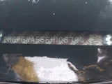 Honda Civic Si Si 2HGFG4A55EH100784 снимка