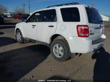 Ford Escape Xlt 1FMCU03G69KA16615 снимка