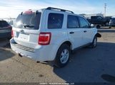 Ford Escape Xlt 1FMCU03G69KA16615 снимка
