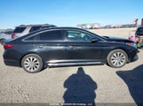Hyundai Sonata Sport Tech 5NPE34AF8GH366051 снимка