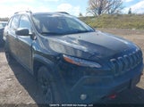 Jeep Cherokee Trailhawk 1C4PJMBS2GW150930 снимка