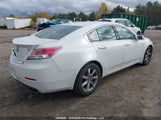 Acura Tl Tech 19UUA8F52DA800381 fotografie