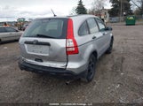 Honda Cr-V Lx 5J6RE38359L801280 photo