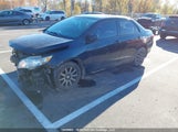 Toyota Corolla Ce 2T1BU4EE5AC235204 снимка