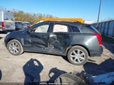 Cadillac Srx Performance Collection 3GYFNFE36GS543304 снимка