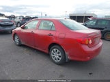 Toyota Corolla S/Le/Xle 2T1BU40E79C083297 снимка