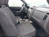Ford Escape Xlt 1FMCU0DG9AKB39652 fotografie