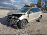Ford Escape Se 1FMCU0G95HUC69696 fotografie
