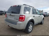Ford Escape Xlt 1FMCU93178KA19411 снимка