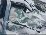 Volkswagen Beetle 3VWJ07AT0EM635050 снимка