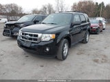 Ford Escape Xlt 1FMCU0D71CKB85088 fotografie