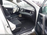 Toyota Rav4 Xle 2T3RFREV0JW812524 снимка