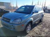 Hyundai Tucson KM8JM72D98U732225 снимка