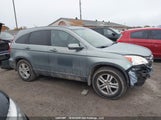 Honda Cr-V 5J6RE4H53AL802441 снимка