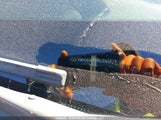 Hyundai Elantra KMHD84LF8HU240415 снимка