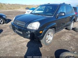 Hyundai Tucson Gls KM8JM12B68U777831 снимка