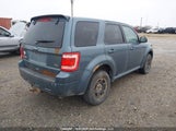Ford Escape Xlt 1FMCU9DG3BKB62429 снимка
