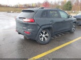Jeep Cherokee Trailhawk 1C4PJMBS3GW364938 снимка