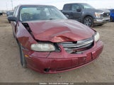 Chevrolet Malibu 1G1ND52J82M728277 снимка