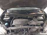 Honda Pilot Touring 5FNYF6H96GB508069 снимка
