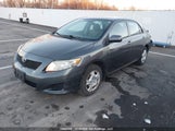 Toyota Corolla S/Le/Xle 2T1BU40E09C187209 снимка