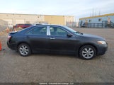 Toyota Camry Se/Le/Xle 4T1BK46K39U080947 снимка