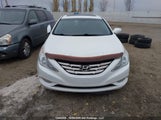 Hyundai Sonata 2.0T 5NPEC4ABXBH261338 снимка