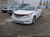 Hyundai Sonata 2.0T 5NPEC4ABXBH261338 снимка