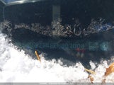 Honda Civic Lx 2HGFB2F48EH007003 снимка