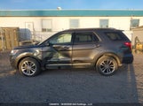 Ford Explorer Xlt 1FM5K8D80JGC29684 fotografie