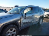 Toyota Rav4 Hybrid Xle 2T3RWRFV8KW001327 photo