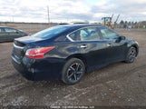 Nissan Altima 1N4AL3AP9FN356389 снимка
