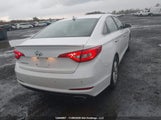 Hyundai Sonata 5NPE24AFXGH427919 снимка