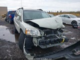 Mitsubishi Endeavor Limited 4A4MN41S96E066528 снимка