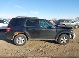 Ford Escape Xlt 1FMCU0DG8BKC00748 fotografie