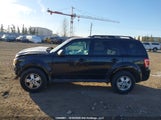 Ford Escape Xlt 1FMCU0DG8BKC00748 photo