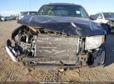 Ford Escape Xlt 1FMCU0DG8BKC00748 fotografie