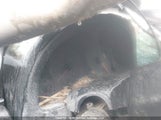 Infiniti G35 Leather JNKCV54E53M220389 снимка