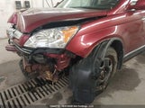 Honda Cr-V Exl 5J6RE487X7L816976 fotografie