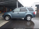Ford Escape Xlt 1FMCU0DG1BKC55431 снимка