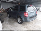 Ford Escape Xlt 1FMCU0DG1BKC55431 fotografie