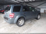Ford Escape Xlt 1FMCU0DG1BKC55431 fotografie