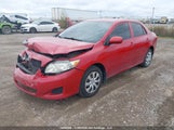 Toyota Corolla Ce 2T1BU4EE1AC210946 снимка