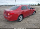 Toyota Corolla Ce 2T1BU4EE1AC210946 fotografie