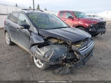 Ford Escape Titanium 1FMCU9J93DUB58166 снимка