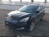 Ford Escape Titanium 1FMCU9J93DUB58166 fotografie