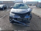 Toyota Rav4 Xle/Xle Premium 2T3R1RFV7MW224220 fotografie