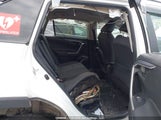 Toyota Rav4 Le 2T3BWRFV3PW184161 снимка