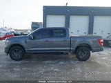 Ford F150 Supercrew 1FTEW1EP7PKF64372 снимка